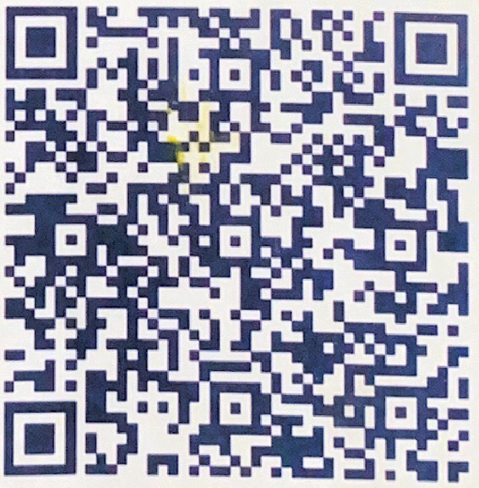 QR Code PIX